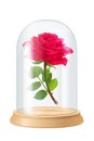 Vector red rose, glass flask Royalty Free Stock Photo