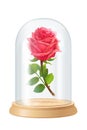 Vector red rose, glass flask Royalty Free Stock Photo