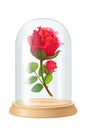 Vector red rose, glass flask Royalty Free Stock Photo