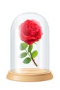 Vector red rose, glass flask Royalty Free Stock Photo