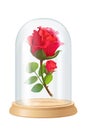 vector red rose, glass flask Royalty Free Stock Photo