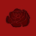 Vector red rose