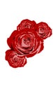 Vector red roses white background Royalty Free Stock Photo