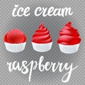 Vector red Set of Ice cream scoops poster design with creme Fresh Frozen raspberry popsicle isolated on transparent background