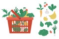 Vector red shopping basket with products icon isolated on white background. Plastic shop cart with vegetables, fruit, berry. Royalty Free Stock Photo