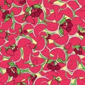 Vector red Summer fruits doodle background pattern Royalty Free Stock Photo