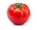 Vector red tomato 3d realistic