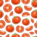 Vector Red Tomato seamless pattern Royalty Free Stock Photo