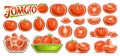 Vector Red Tomato Set
