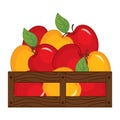 Vector Red and Yellow Apples in Wooden Box