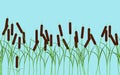 Vector reed stems plant seamless pattern on blue background