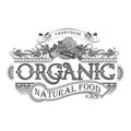 Vector retro farm fresh emblem. Vintage organic food logo