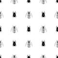 Vector retro hand drawn seamless vector pattern with beetle, bug, dor, dorr, insect on a white background. Vintage Royalty Free Stock Photo