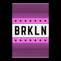 Vector retro illustration on the theme of Brooklyn. Urban. Modern. Stylized vintage grunge white typography, t-shirt