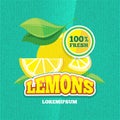 Vector retro poster with juicy fresh lemon, lemonade vintage background