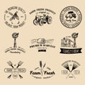 Vector retro set of farm fresh logotypes. Organic products badges. Eco food signs.Sketched agricultural equipment icons. Royalty Free Stock Photo