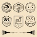 Vector retro set of farm fresh logotypes. Vintage labels with hand sketched agricultural equipment illustrations. Royalty Free Stock Photo