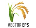 Vector rice plant icon, represent wheat, corn, oats, sorghum, crops, field, harvests and farming