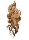 Vector ringlets hair