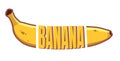 Vector ripe banana straight shape. Yellow bananas drawn in a flat design. Cartoon fruit lettering isolated on a white background