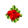 Vector Ripe cowberry icon. Flat Berries with green leaves on white background.