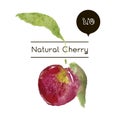 Vector ripe fresh nature cherry