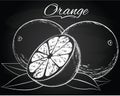 Vector ripe orange