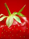 Vector ripe strawberry close-up Royalty Free Stock Photo