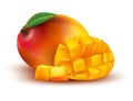 Vector ripe yellow, orange, red whole and sliced mango cubes with leaf