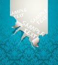 Vector ripped wallpaper Royalty Free Stock Photo