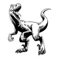 Roaring Raptor Illustration in Black and White Royalty Free Stock Photo