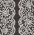 Vector Lace Ribbon Seamless Pattern. Royalty Free Stock Photo