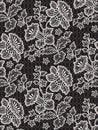 Vector Romantic Floral Lace Seamless Pattern Royalty Free Stock Photo