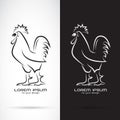 Vector of rooster or design on white background and black background., Animal farm. Royalty Free Stock Photo