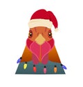 Vector rooster head in winter new year clothing hood , scarf