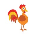 Vector rooster on a white background, colorful funny character. Cartoon