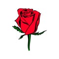 Vector rose bud colored silhouette. Logo, tattoo or emblem