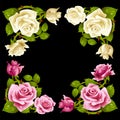 Vector rose corner isolated on black background Royalty Free Stock Photo