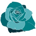 Vector rose for cosmetics design