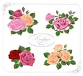 Vector rose design elements isolated on background. Red, pink, yellow and white flowers Royalty Free Stock Photo