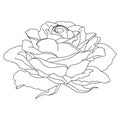 Vector Rose Flower Clip Art