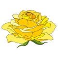 Vector Rose Flower Clip Art