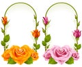 Vector rose frames on white background Royalty Free Stock Photo