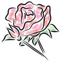 Vector rose Royalty Free Stock Photo