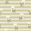 Vector Roses Flowers in White with Green Leaves on Beige Stripes Seamless Repeat Pattern. Background for textiles, cards