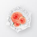 Vector roses with paper snowflakes composition on white background. Romantic background . St. Valentine`s Day, 8 march, Woman`s Royalty Free Stock Photo