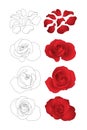 Vector roses set