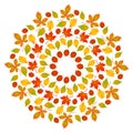 Vector round autumn leafy mandala - adult coloring book page Royalty Free Stock Photo