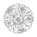 Vector round bouquet with outline Cornflower, Knapweed or Centaurea flower, bud and leaf in black isolated on white background.