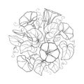 Vector round bouquet with outline Ipomoea or Morning glory flower, leaf and bud in black isolated on white background.